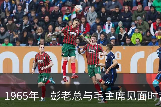 1965年，彭老总与毛主席见面时苦涩说道：我无事不登三宝殿！